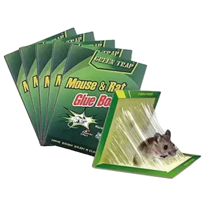 Rat Trap Book
