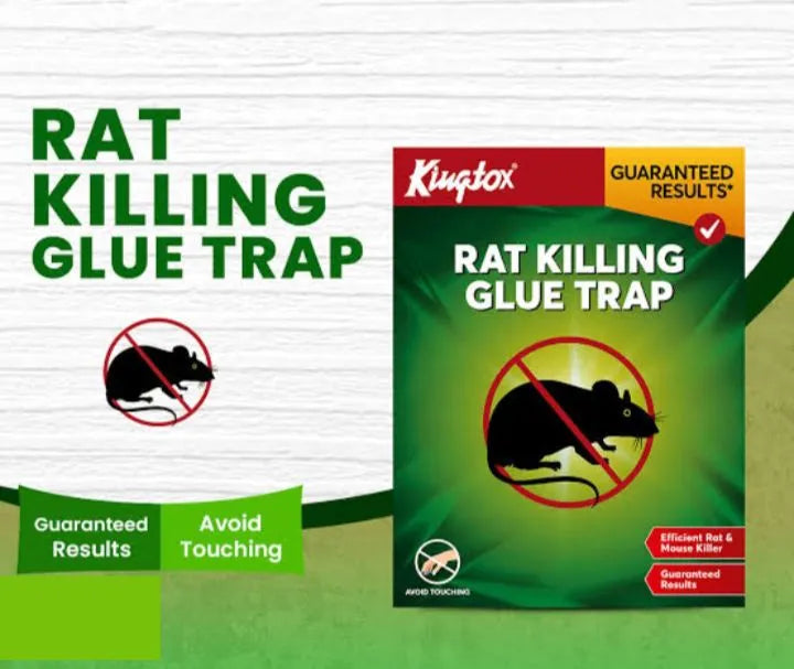 Kingtox Mouse and Rat killing Glue Trap Book 1pice